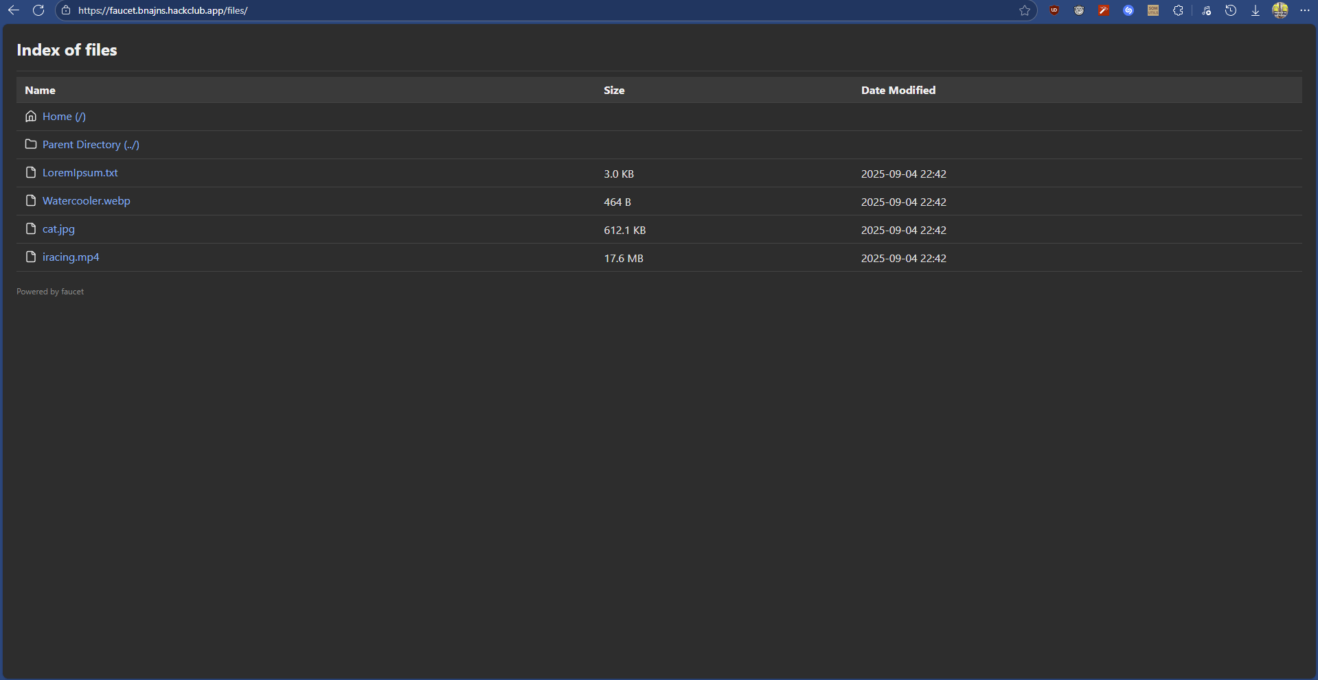 Dir listing example